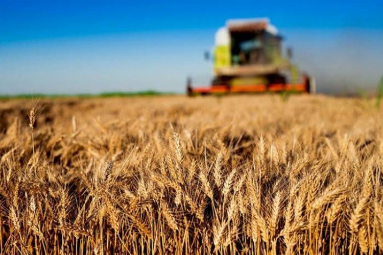 TÜİK açıkladı… Tarım-ÜFE’ye göre maliyetler yarı yarıya arttı