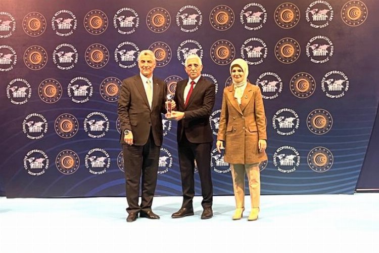 Marmaralı zeytincinin kooperatifine yılın e-ticaret ödülü