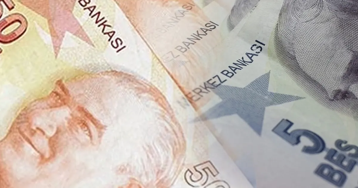 5 ve 50 TL’lik yeni banknotlar piyasada