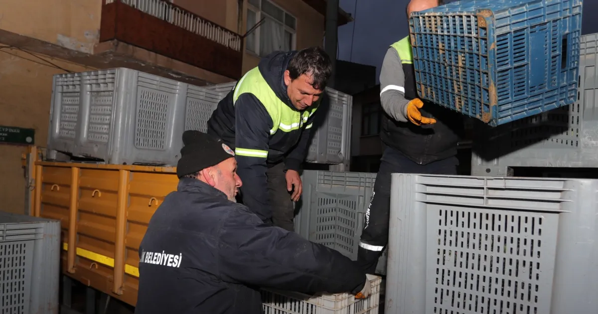 Bursa Gemlikli çiftçinin yüzü gülüyor