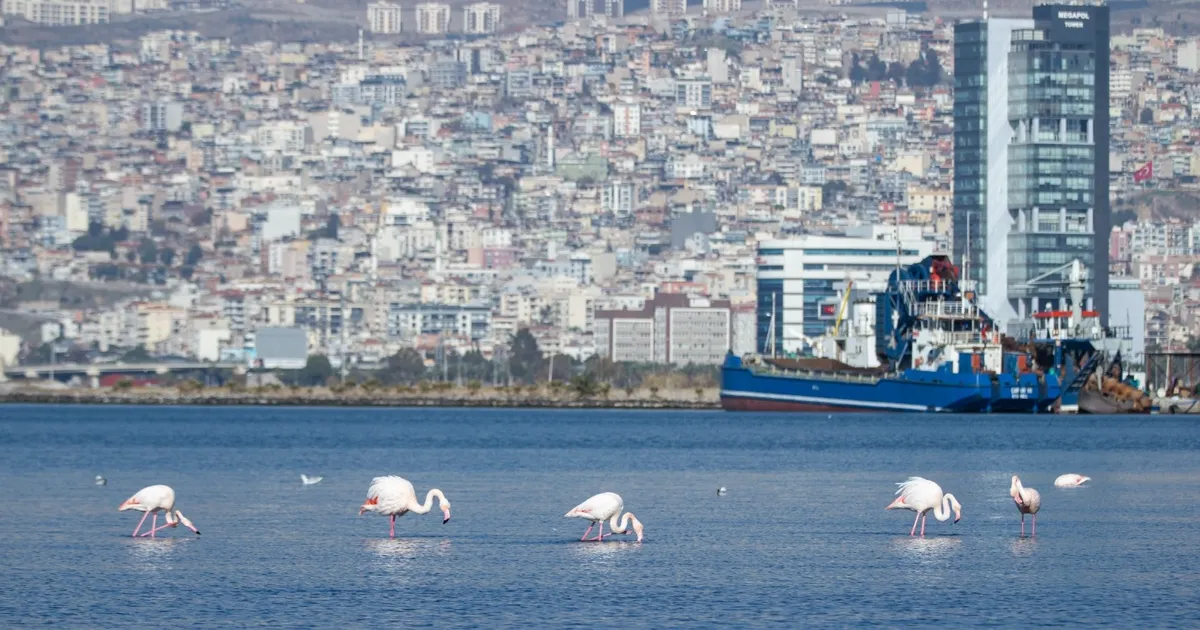 İzmir, yaşanabilir ve refah seviyesi yüksek kent olacak