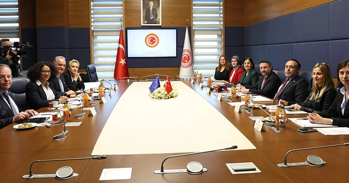 Türkiye-AB Karma Komisyonu toplandı