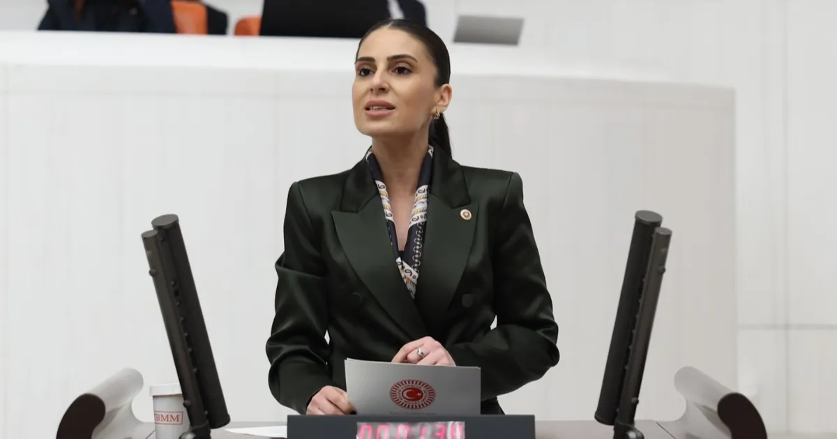 Milletvekili Özcan’dan sokak hayvanları için Bakan Yumaklı’ya önerge