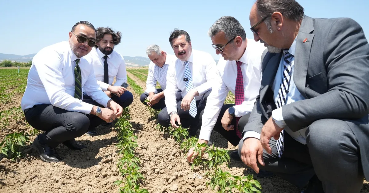 Bursa Yenişehir tarımı Afrika’ya açılıyor