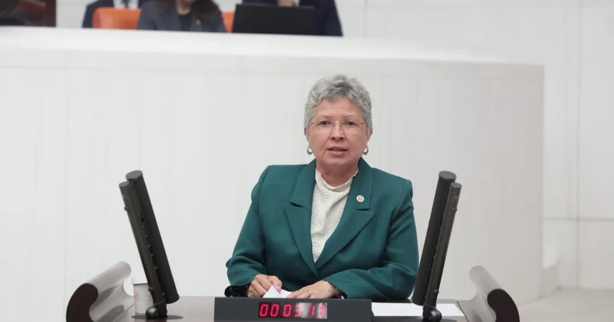CHP Milletvekili Yontar: Vatandaş soruşturma tehdidiyle susturuluyor!