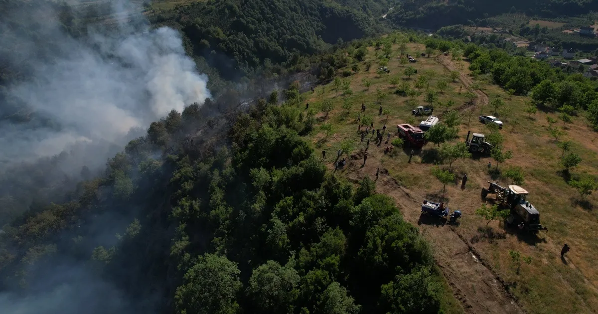 Düzce Yığılca’da orman yangını!