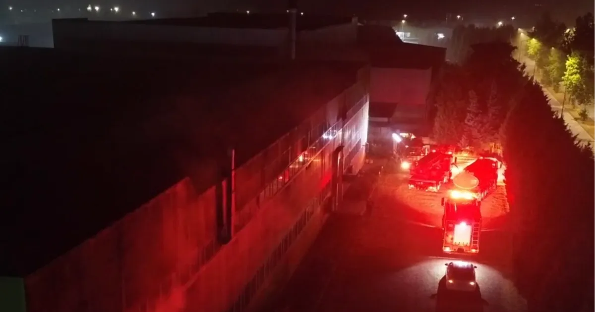 Düzce’de mobilya fabrikasında yangın