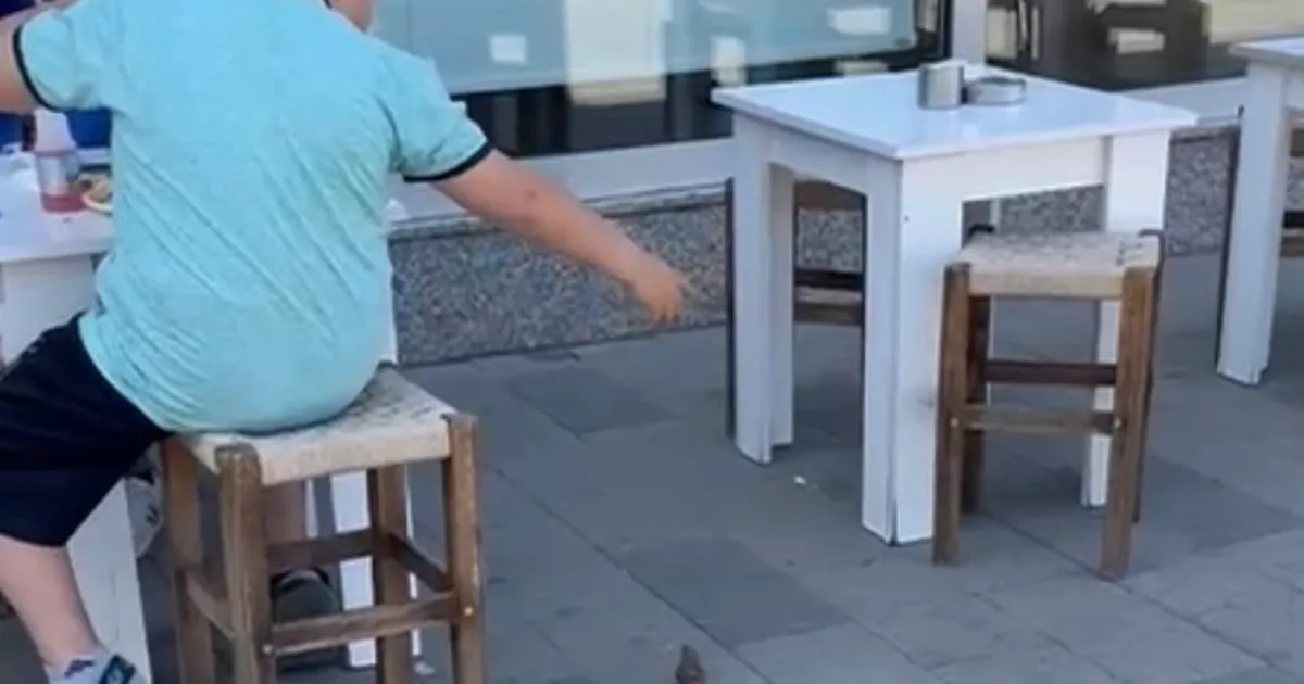 Minik Alaaddin’in serçeyle duygu dolu anı
