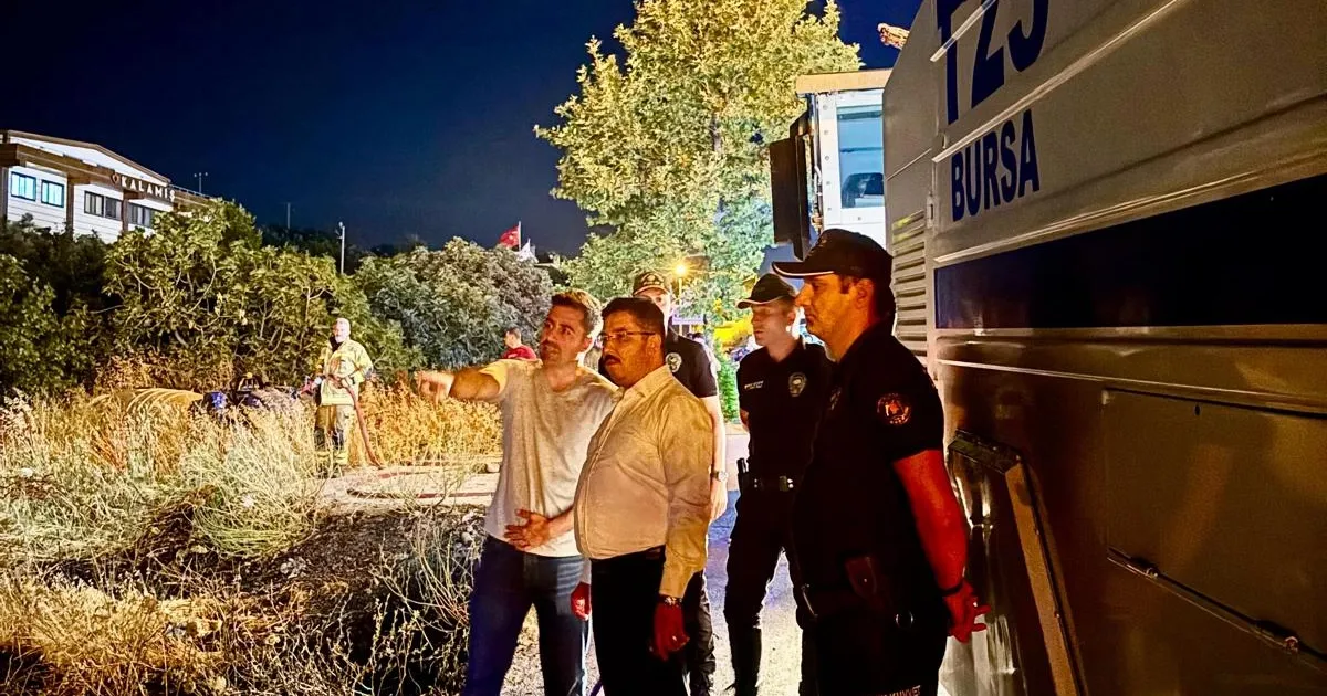 Mudanya Yolu’ndaki yangın kontrol altına alındı! 4 dönüm alan zarar gördü!