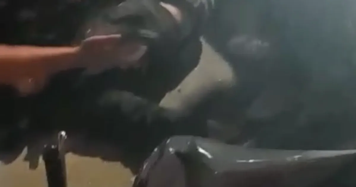 Otomobil ile çarpışan kurye yaralandı