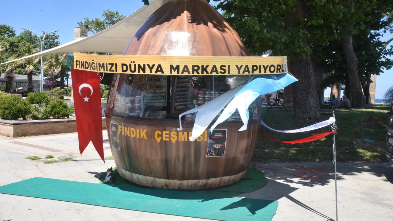 Akçakoca Fındığını Dünya Markası Yapmayı Hedefleyen Projenin Açılışı Gerçekleştirildi