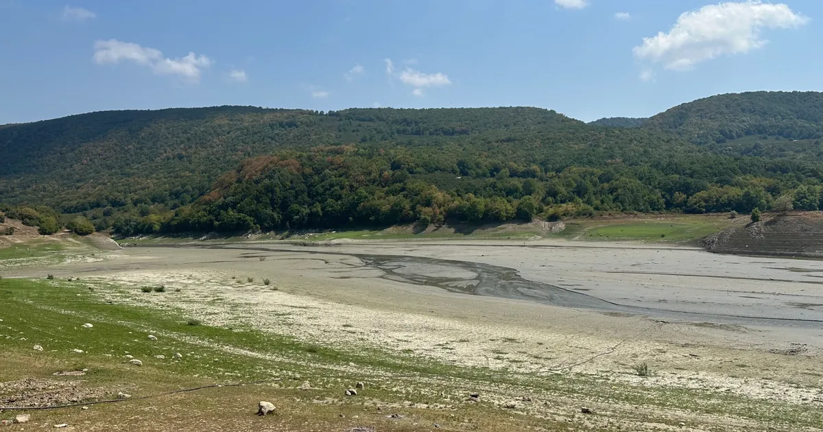 Düzce Hasanlar Barajı’nda su seviyesi kritik!