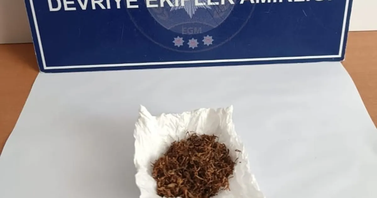 Edirne Keşan’da narkotik denetimi