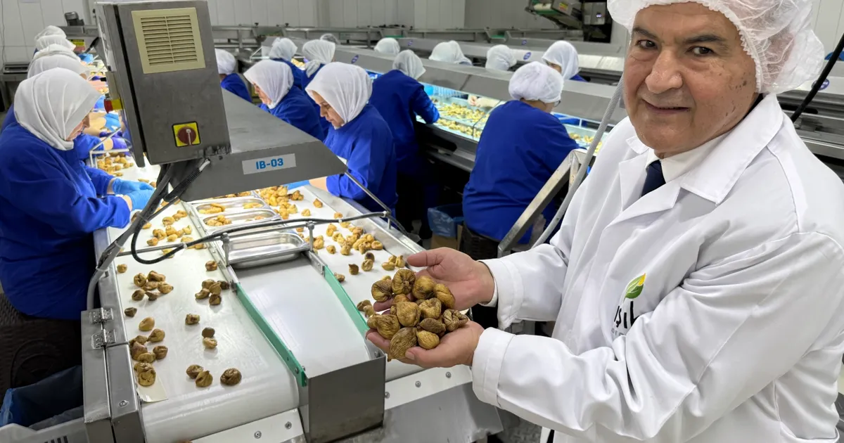Kuru meyve sektöründe 12 şampiyonun 11’i Egeli