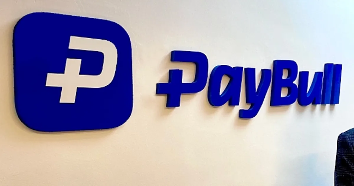 Paybull’un faaliyet izni iptal edildi
