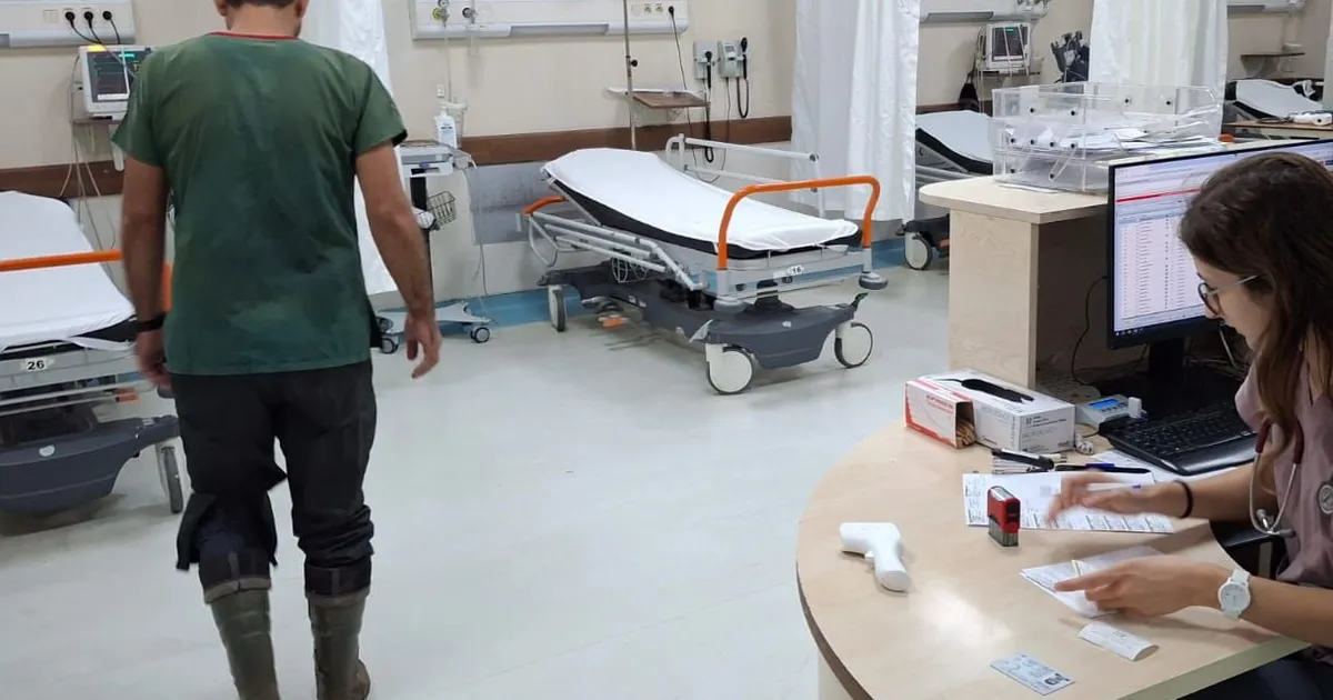 Bursa’da veteriner hekim sokak köpeği tarafından ısırıldı!