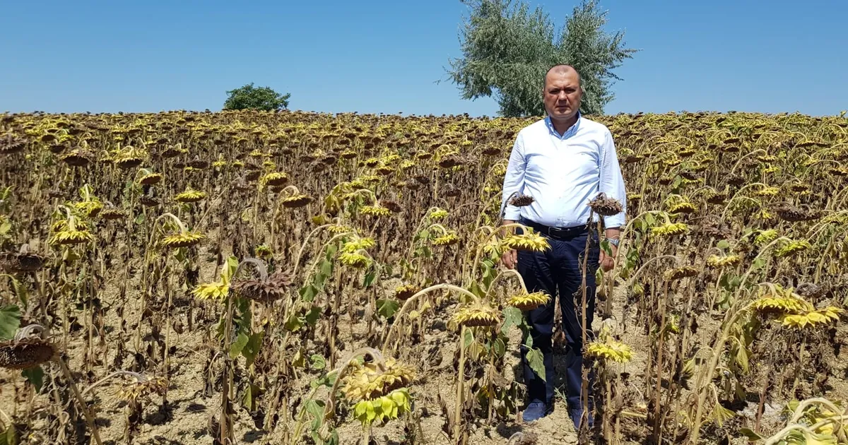 CHP Tekirdağ Milletvekili Aygun’dan kuraklık için yasa teklifi