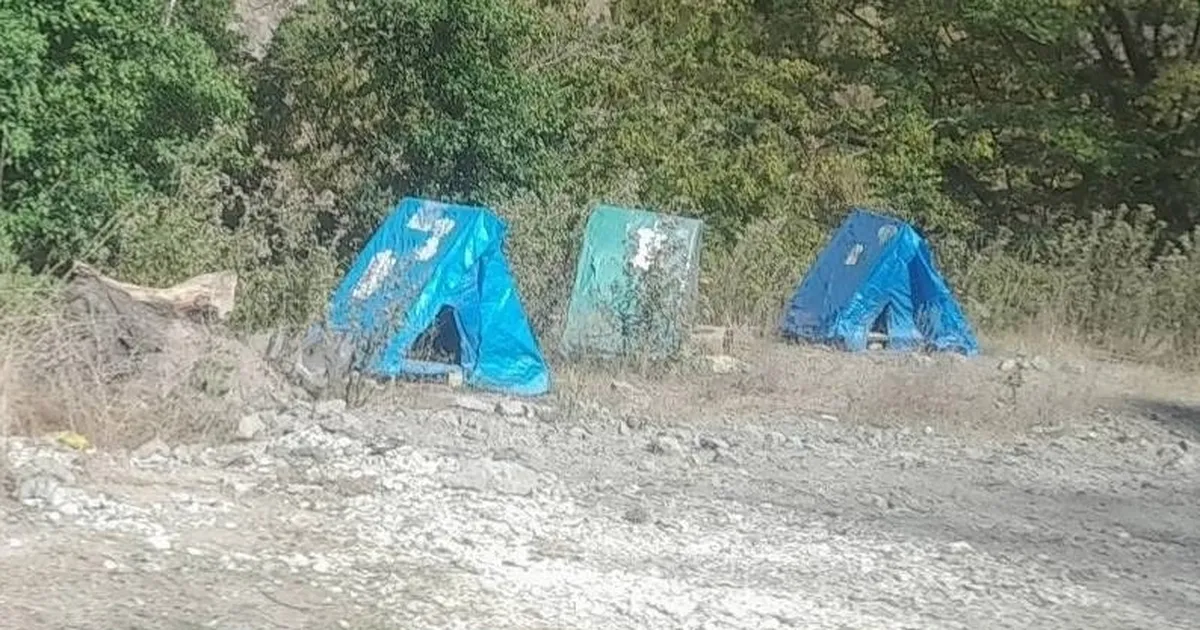 Düzce Yığılca’da sokak hayvanlarına hayvanseverlerden kulübe desteği