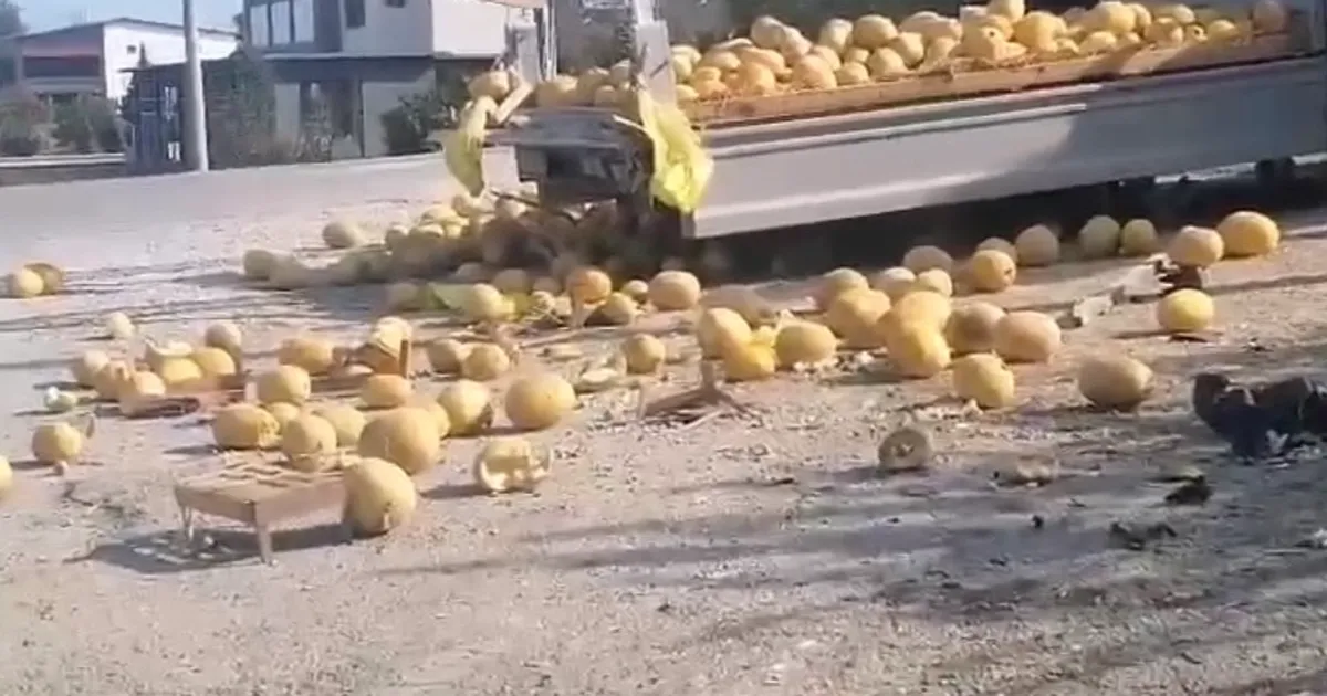 Düzce’de kaza: Kavunlar yola saçıldı