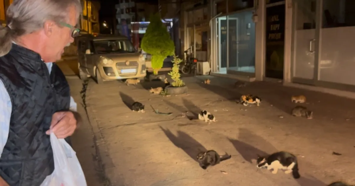 Düzce’de kendini kedilere adadı!