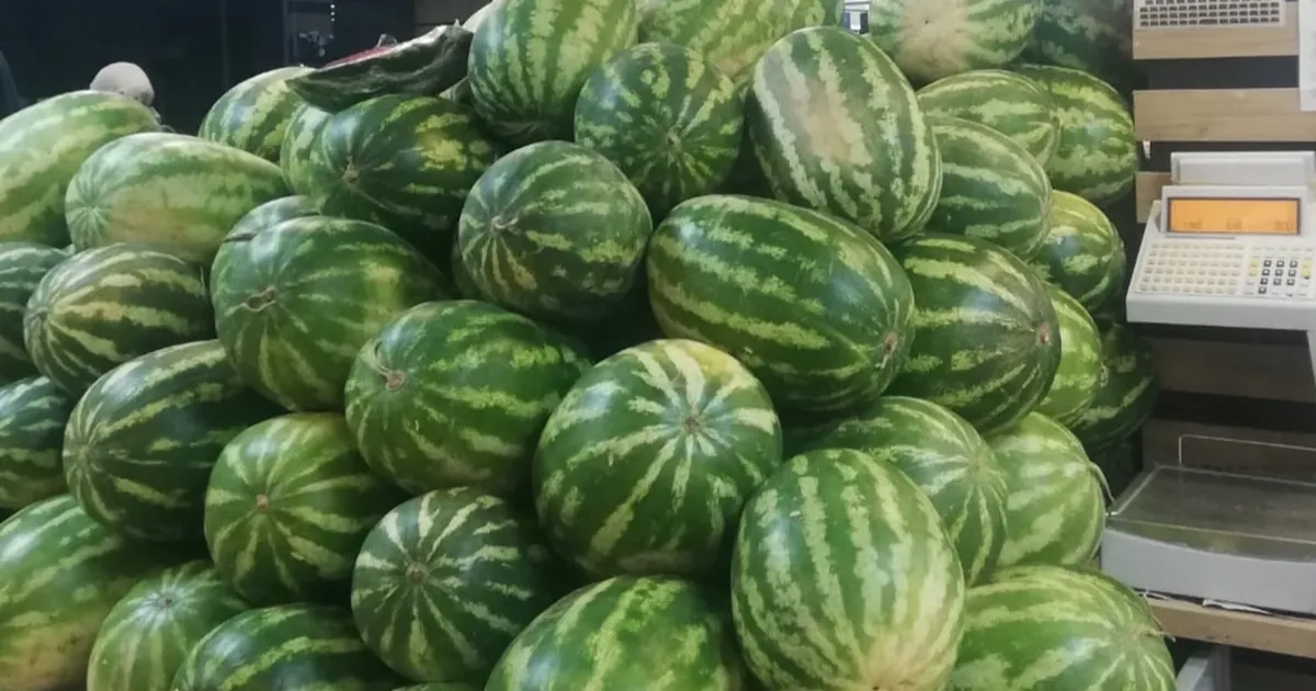 Karpuzda üretici-market farkı yüzde 613,8… Üreticide 1,18, markette 8,42 TL!