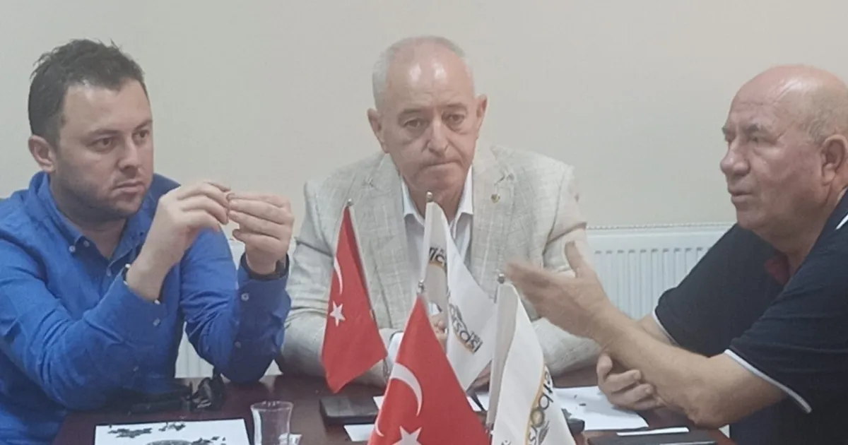 Kaymaz ve Şen: “Ayçiçeğinde fiyat revize edilebilir”