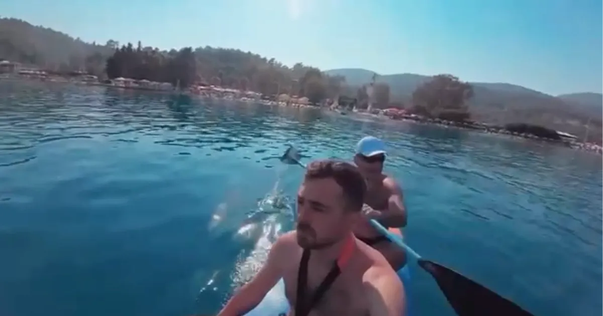 Muğla’da kürek sörfü kazası: Düzceli gencin cansız bedeni 8 gün sonra bulundu