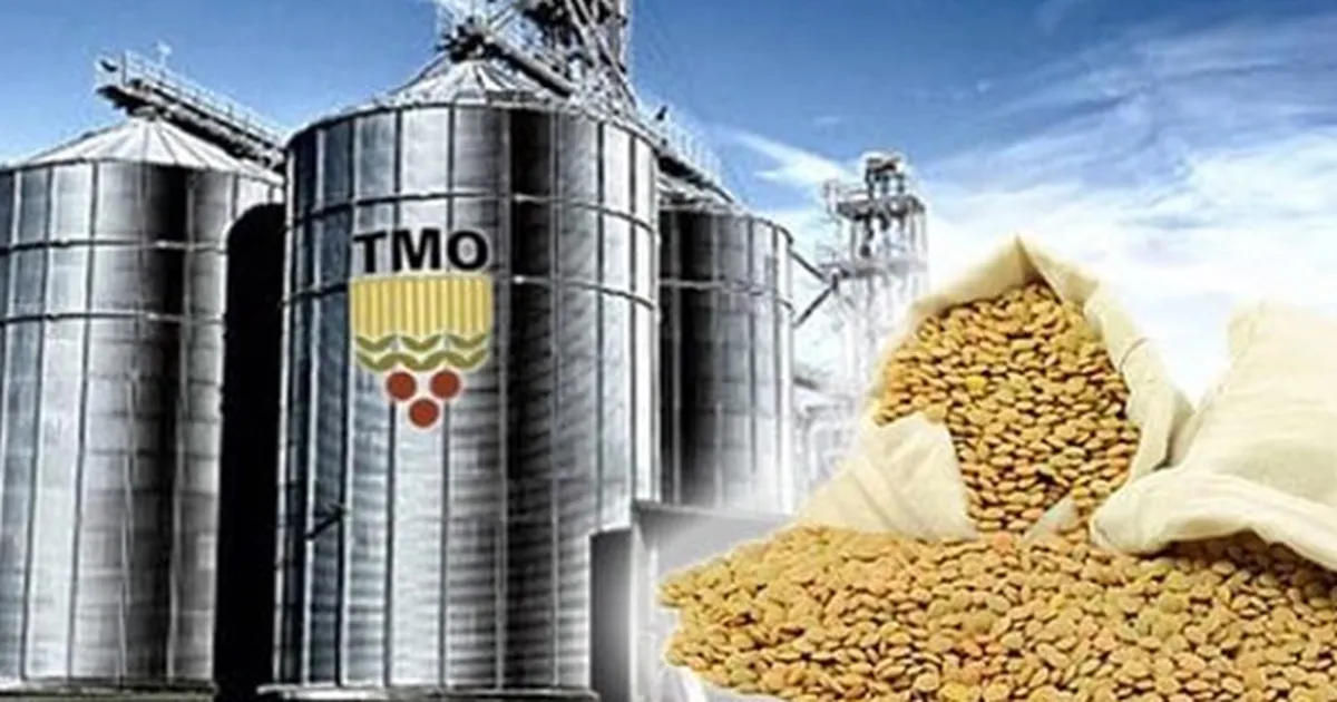 TMO’nun ithalat ihalelerine yeni düzenleme