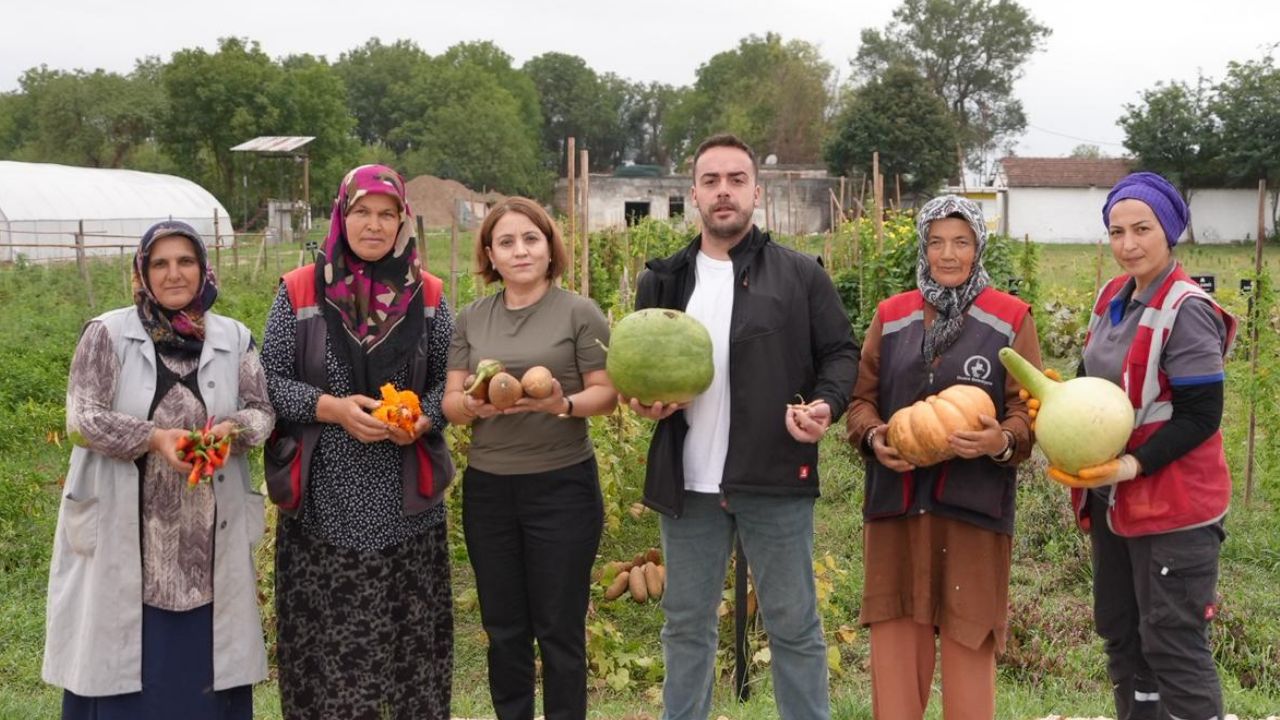 Düzce Ata Tohumlarında İlk Hasadı Yaptı