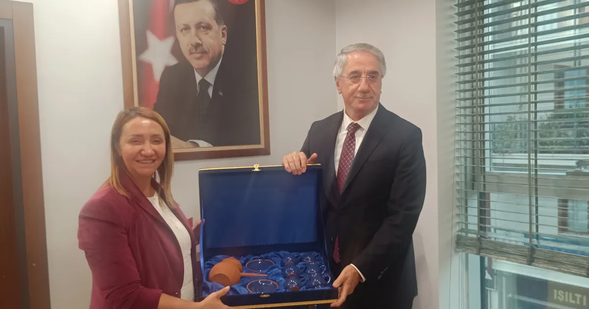 AK Parti’den Pazaryeri’ne önemli ziyaret