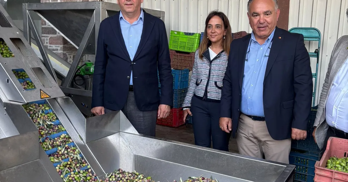 Ayvalık Ticaret Odası: Zeytinyağı ihracatında en büyük sorun markasızlık