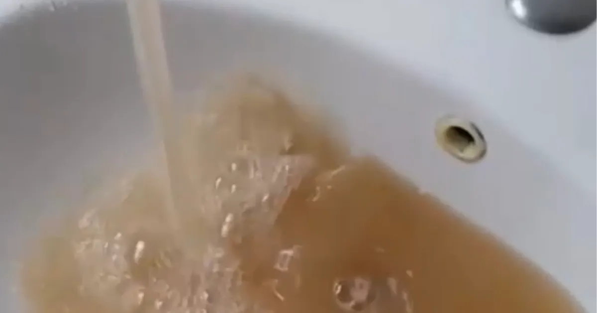 Düzce’de her yağış sonrası musluktan çamur isyanı!