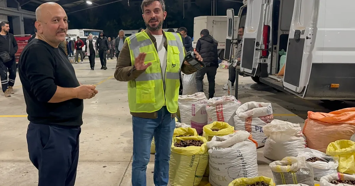 Düzce’nin tescilli lezzeti kuzu kestanesi pazara indi!