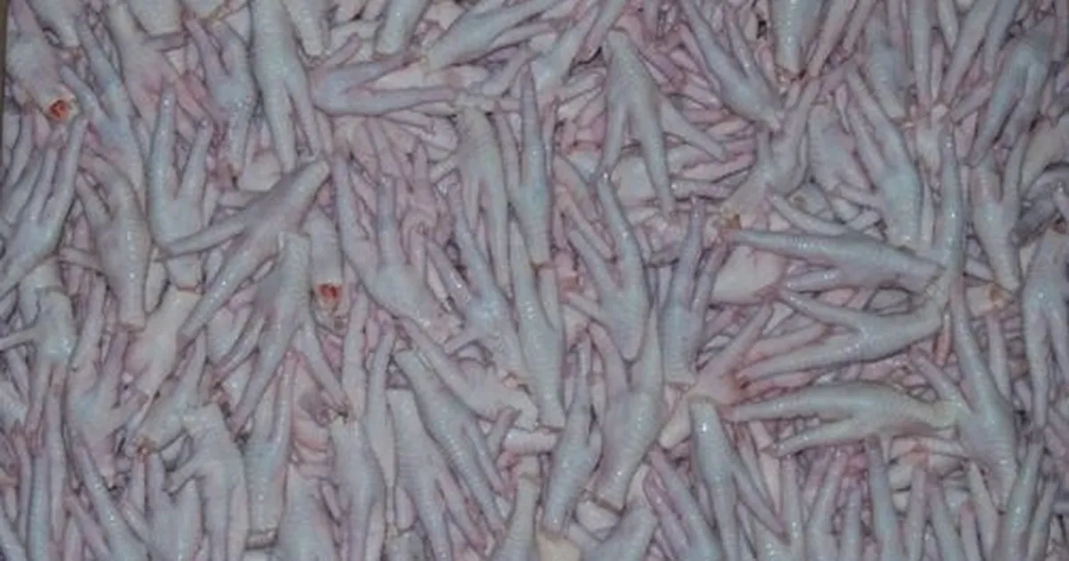 Kanatlı sektörü, Çin’e tavuk ayağı iznini bekliyor