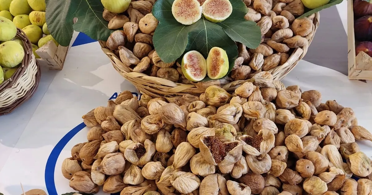 Kuru incir ihracatında tarihi rekor