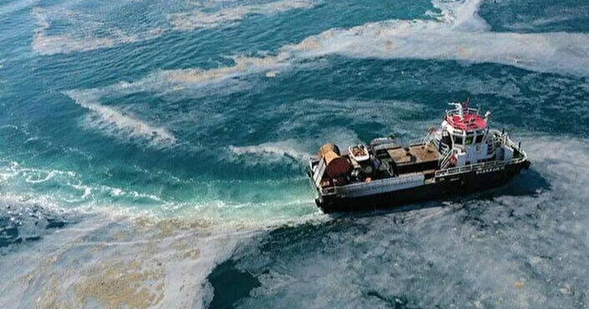 Müsilaj mağduru balıkçıya ek destek!