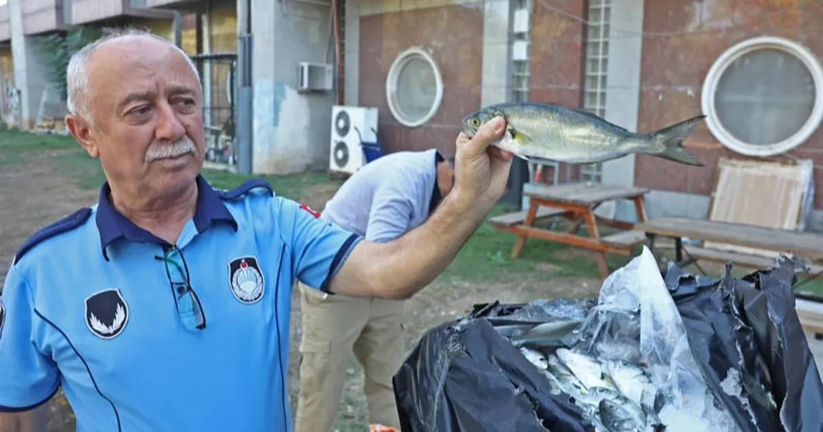 Antalya Büyükşehir zabıtasından otogarda usulsüz taşımacılığa operasyon