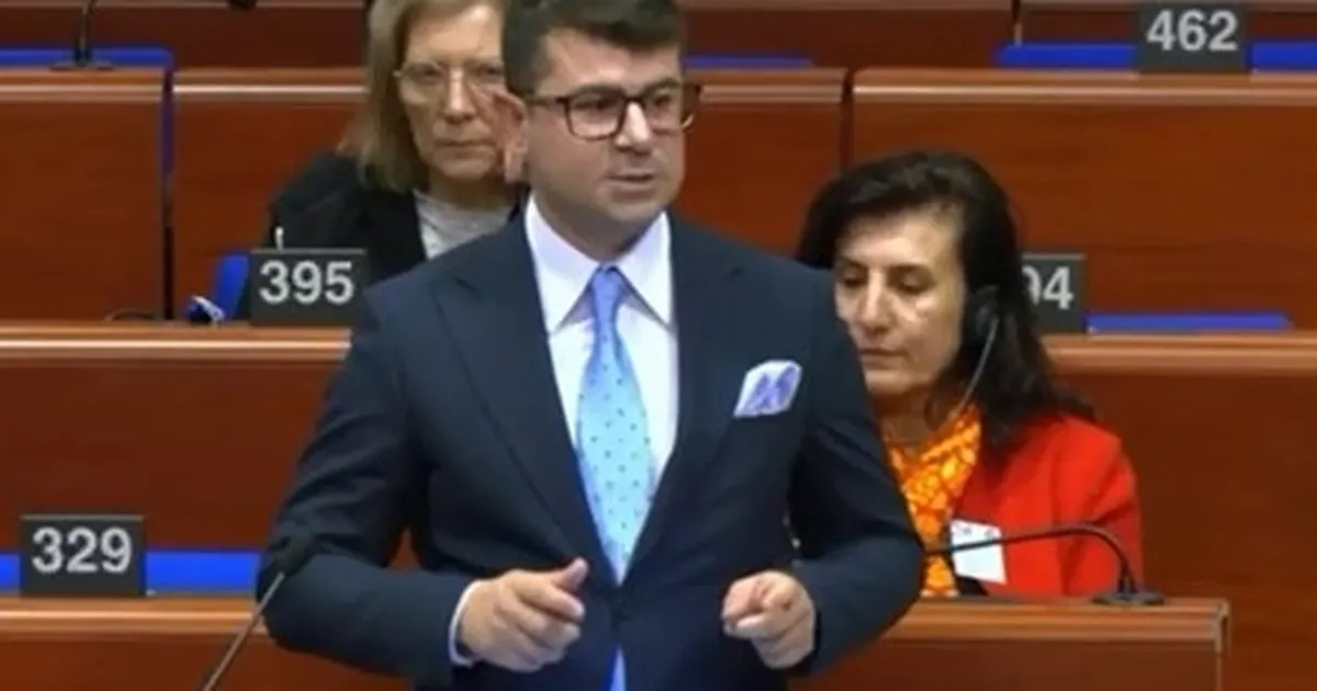 CHP’li Baran Güneş’ten Strazburg’da demokrasi vurgusu