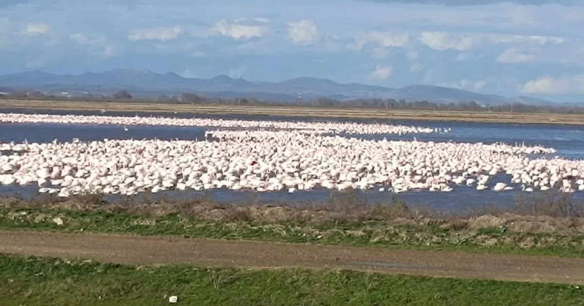 CHP’li Yazgan’dan TBMM’de Gala Gölü çağrısı!