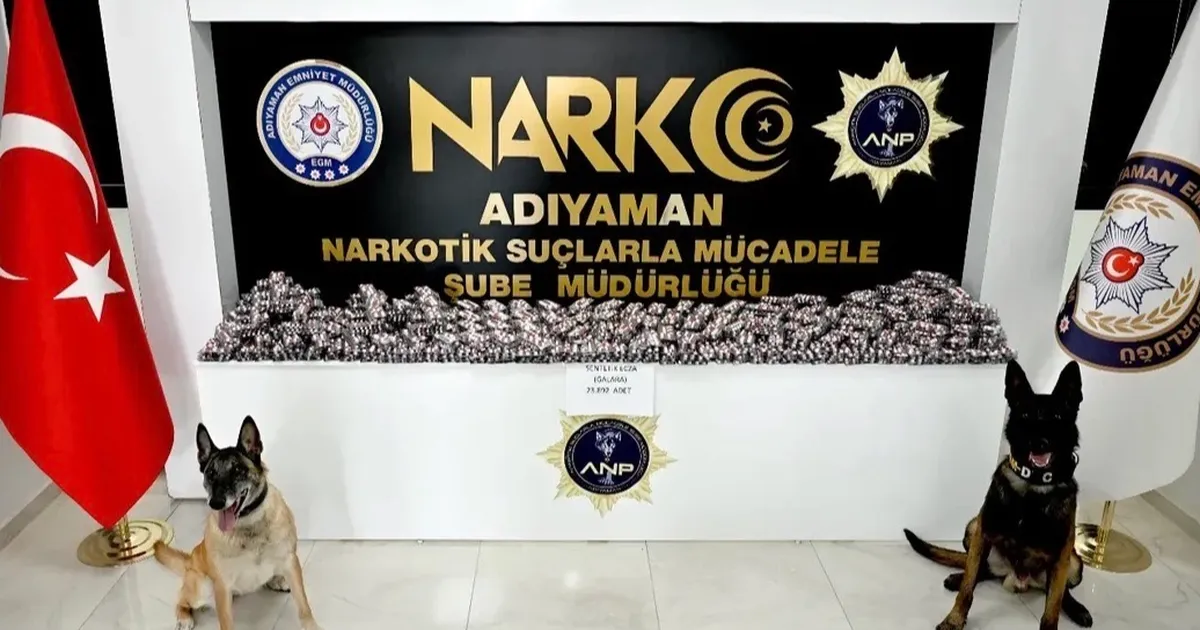 Adıyaman’da asayiş ve narkotik operasyonları: 55 şüpheli yakalandı, 9 tutuklama