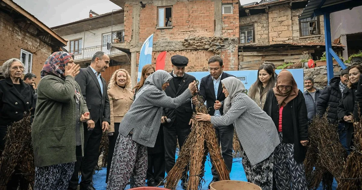 Balıkesir Büyükşehir’den susam üreticilerine destek