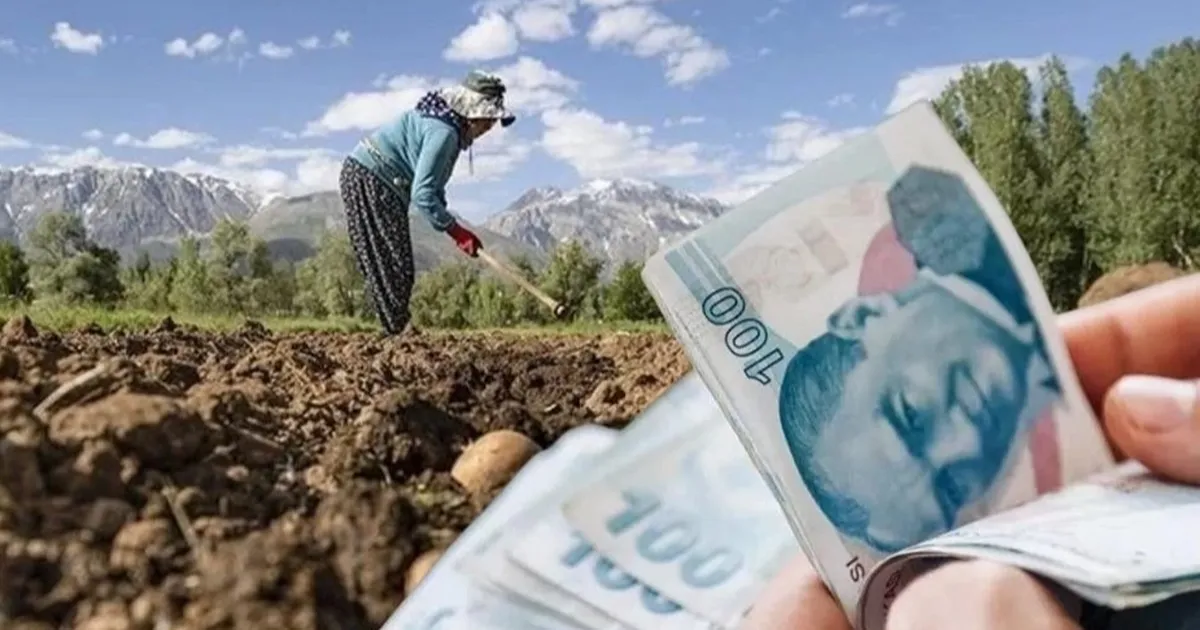 Kooperatiflere 4,5 milyar TL’lik kredi desteği