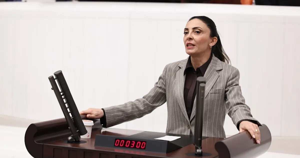 Nurhayat Altaca Kayışoğlu: “Özgür sanat olmadan demokrasi olmaz”