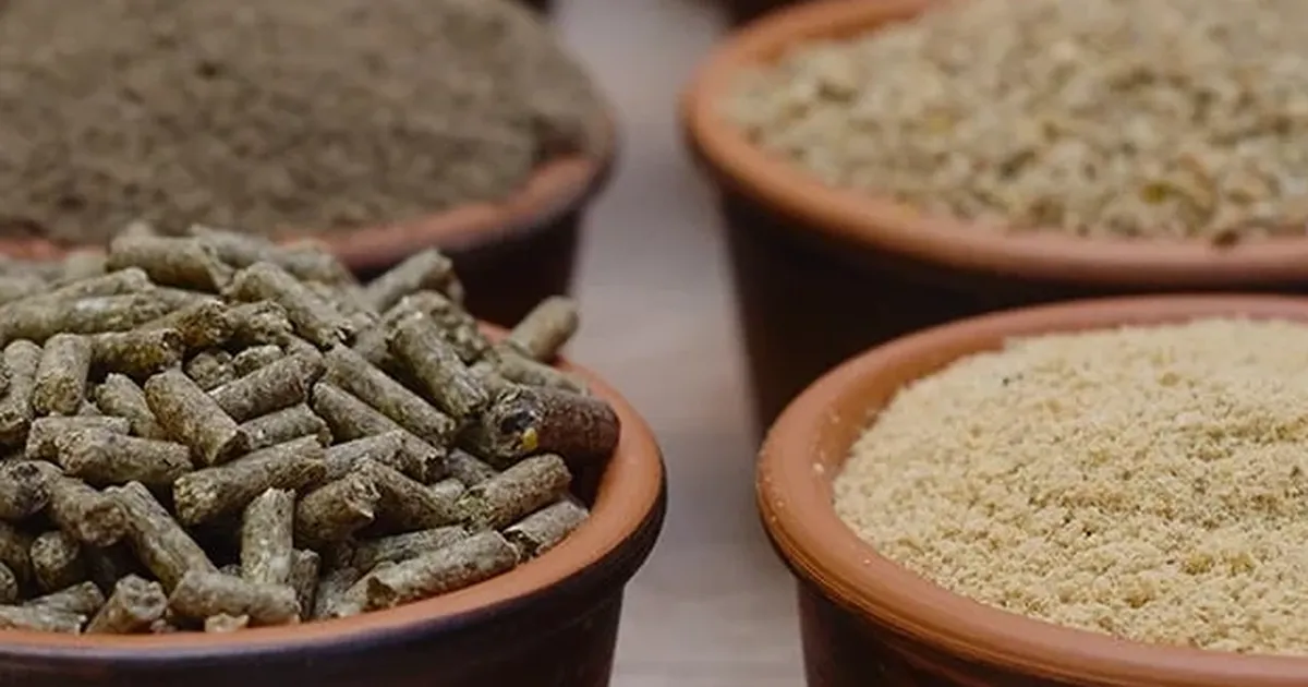 Yem Yönetmeliği’nde değişiklik ‘Resmi’leşti… Gıdadan yeme büyük dönüşüm!