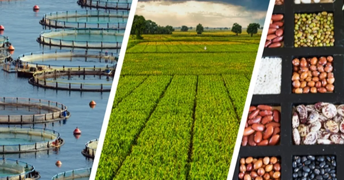 255 milyon lira çiftçilerin hesabında