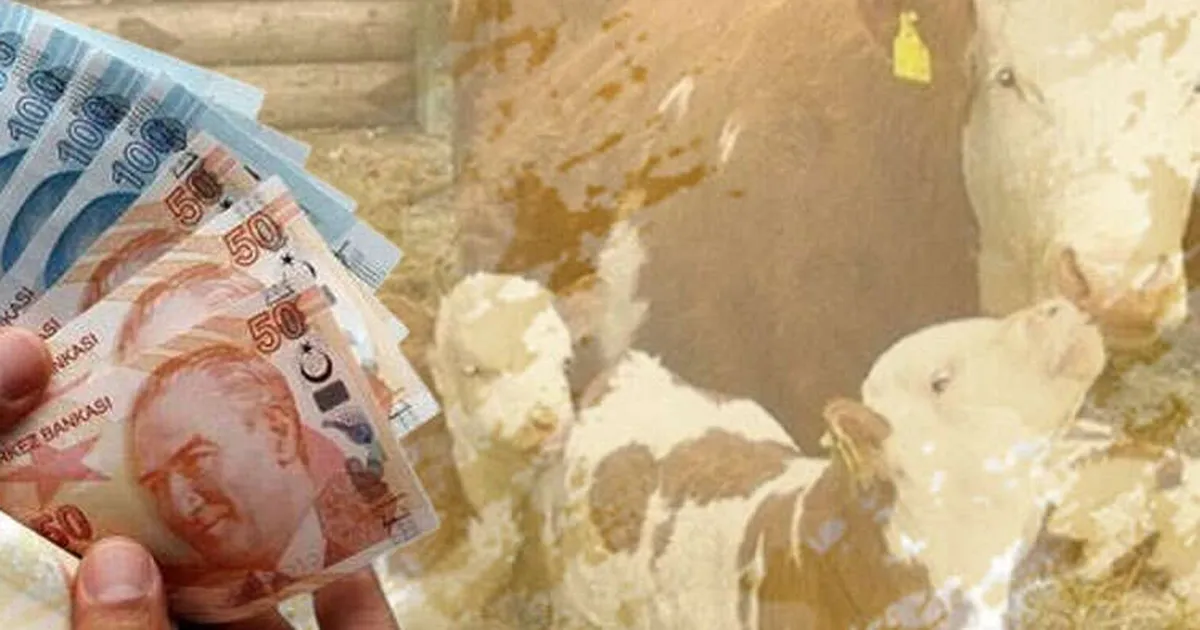 Çiftçilere 226 milyon TL destek hesaplarda!