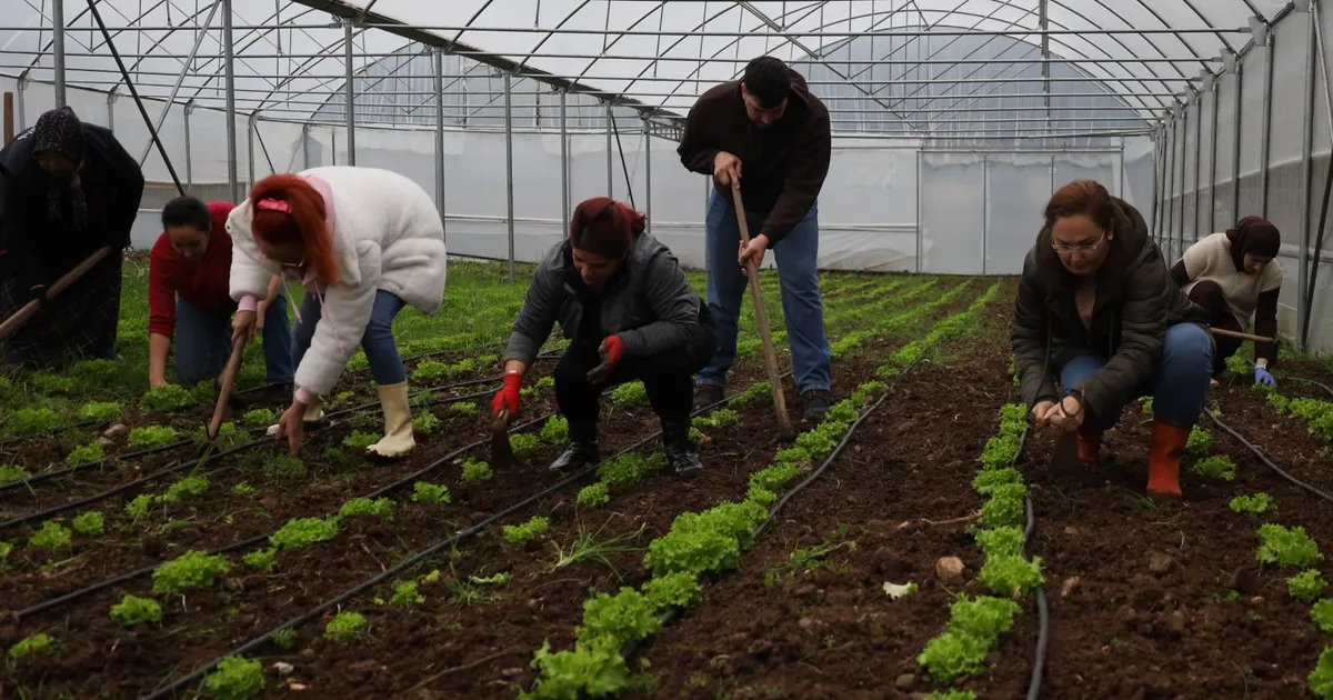 Kadın ve gençler tarıma kazandırılıyor