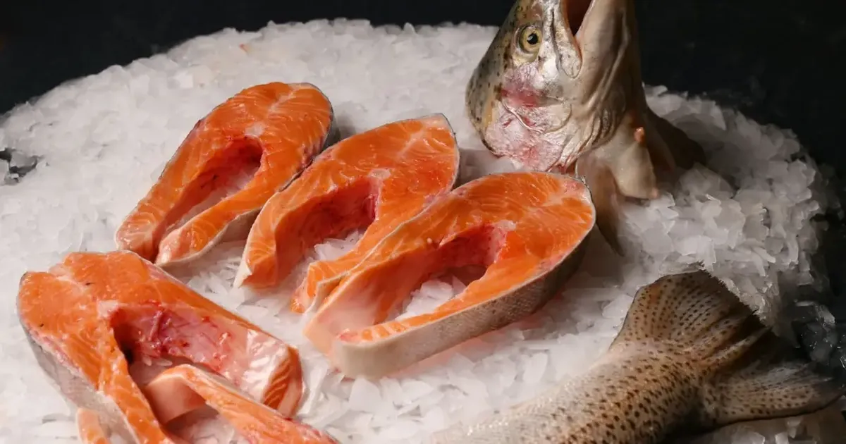 Karadenizin gururu… Türk somonu su ürünleri ihracatının yeni lokomotifi