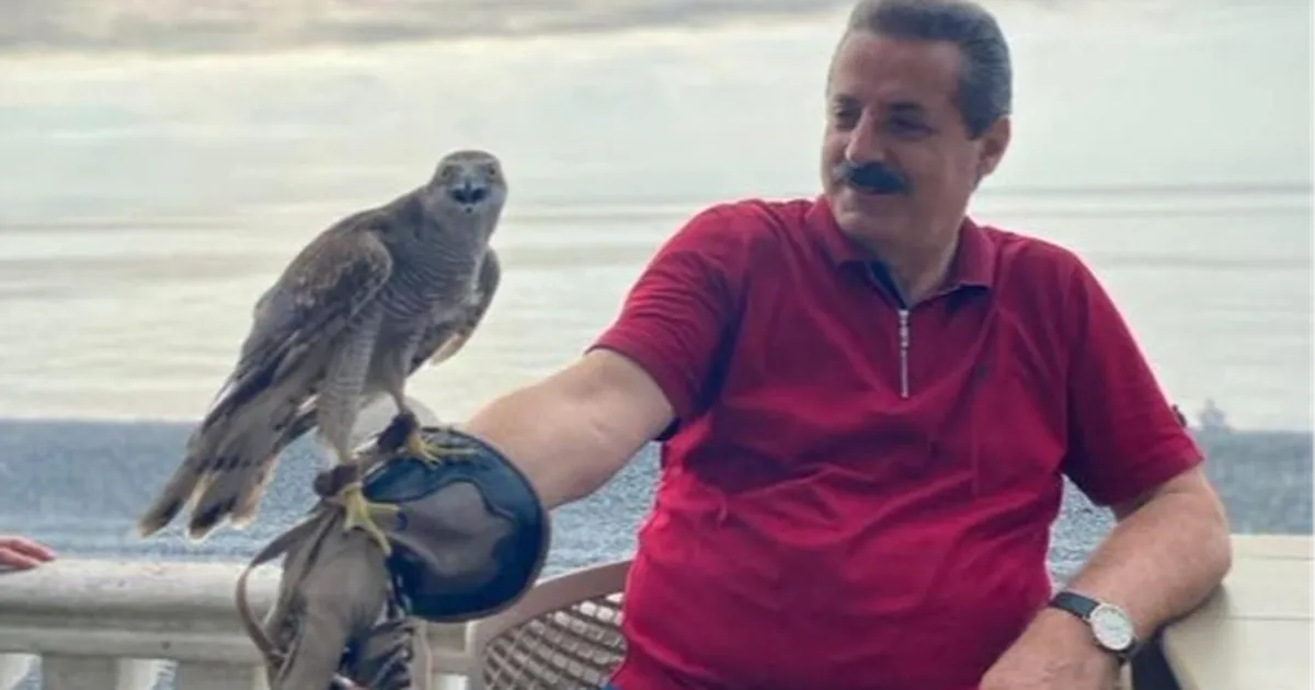 AK Parti Milletvekili Faruk Çelik, atmaca severlere müjdeledi… Artvin ve Rize’de geleneksel atmacacılığa hukuki güvence