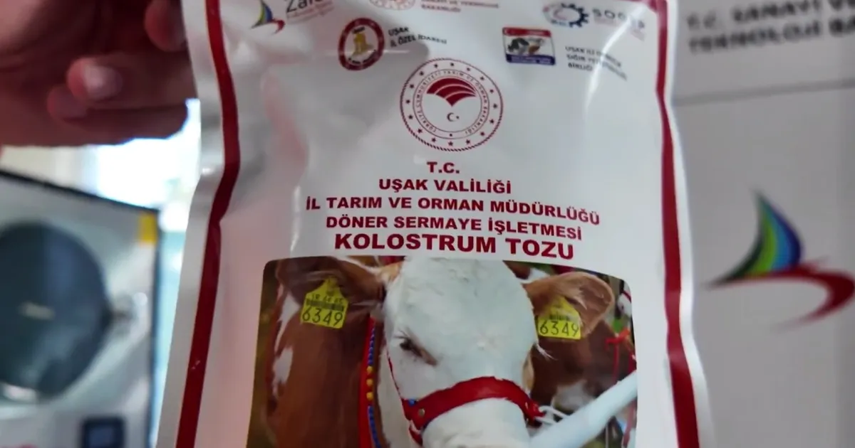 Uşak’ta Türkiye’nin ilk dondurarak kurutma kolostrom tesisi kuruldu… Hayvancılıkta yenilikçi adım hayata geçti